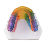 Myofunctional Regulator Appliance